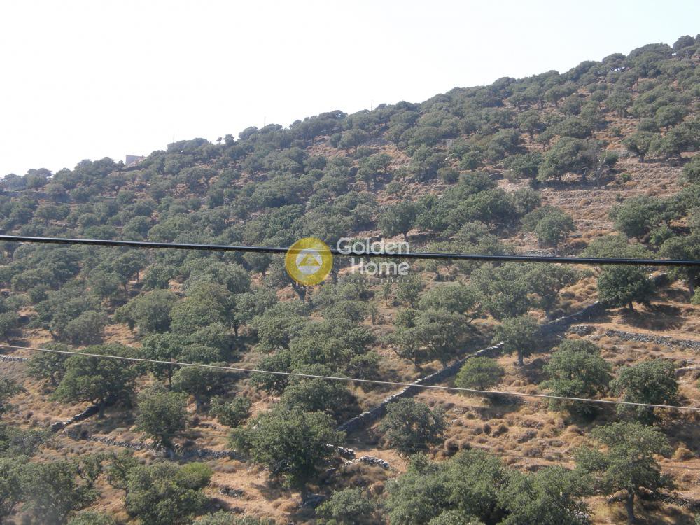 Αγροτεμάχια 26.000 τ.μ. προς πώληση, Πέρα Μεριά