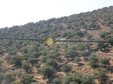Αγροτεμάχια 26.000 τ.μ. προς πώληση