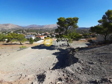 Οικόπεδο 4.100 τ.μ. για πώληση