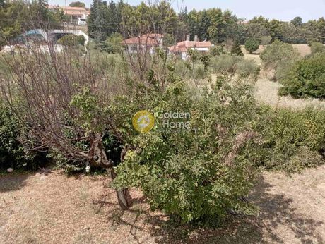 Apartment 134sqm for sale-Thermi » Center Of Thermi