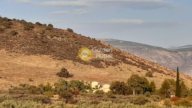 Parcel 500 sqm for sale, Fokida, Galaxidi