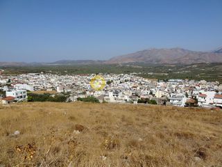 Αγροτεμάχια 4.000 τ.μ. για πώληση