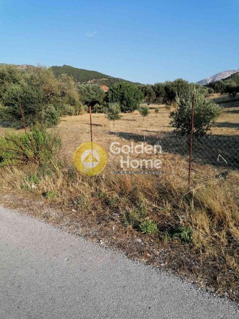 Αγροτεμάχια 3.100 τ.μ. για πώληση, Αχαΐα, Ρίο