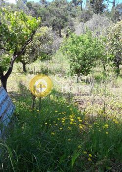 Land plot 322 sqm for sale