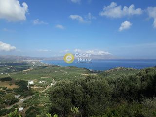 Αγροτεμάχια 30.365 τ.μ. για πώληση