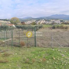 Αγροτεμάχια 5.000 τ.μ. για πώληση, Ν. Σερρών, Σιδηρόκαστρο-thumb-4