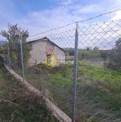 Αγροτεμάχια 5.000 τ.μ. για πώληση, Ν. Σερρών, Σιδηρόκαστρο-thumb-2