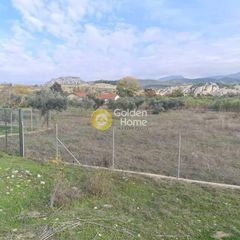 Αγροτεμάχια 5.000 τ.μ. για πώληση, Ν. Σερρών, Σιδηρόκαστρο-thumb-3