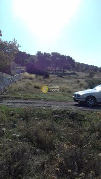 Αγροτεμάχια 5.000 τ.μ. για πώληση