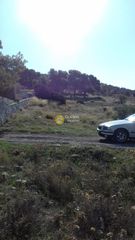 Αγροτεμάχια 5.000 τ.μ. προς πώληση