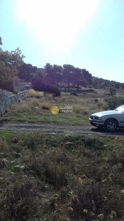 Αγροτεμάχια 5.000 τ.μ. για πώληση, Αθήνα - Ανατολικά Προάστια, Κορωπί