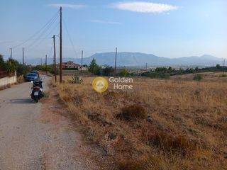 Αγροτεμάχια 15.160 τ.μ. για πώληση