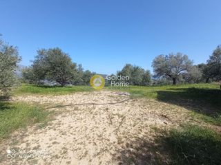 Αγροτεμάχια 2.150 τ.μ. προς πώληση, Κισσοί-thumb-3
