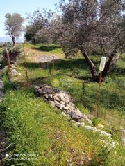 Αγροτεμάχια 2.150 τ.μ. προς πώληση, Κισσοί-thumb-8