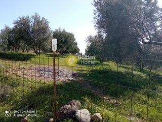 Αγροτεμάχια 2.150 τ.μ. προς πώληση, Κισσοί-thumb-13