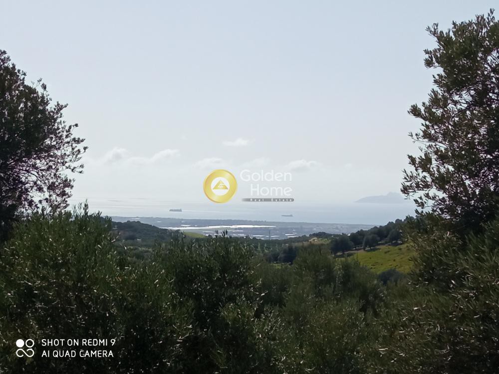 Αγροτεμάχια 2.150 τ.μ. προς πώληση, Κισσοί