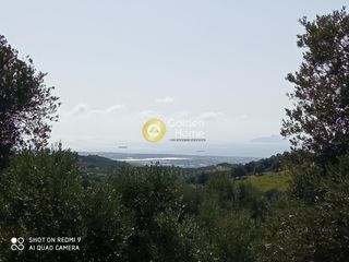 Αγροτεμάχια 2.150 τ.μ. για πώληση