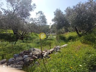 Αγροτεμάχια 2.150 τ.μ. προς πώληση, Κισσοί-thumb-4