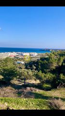 Αγροτεμάχια 2.000 τ.μ. προς πώληση, Καλλιθέα Ρόδου-thumb-3