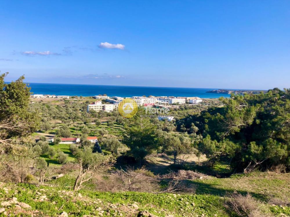 Αγροτεμάχια 2.000 τ.μ. πρός πώληση, Δωδεκάνησα, Ρόδος