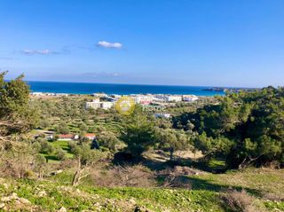Αγροτεμάχια 2.000 τ.μ. για πώληση