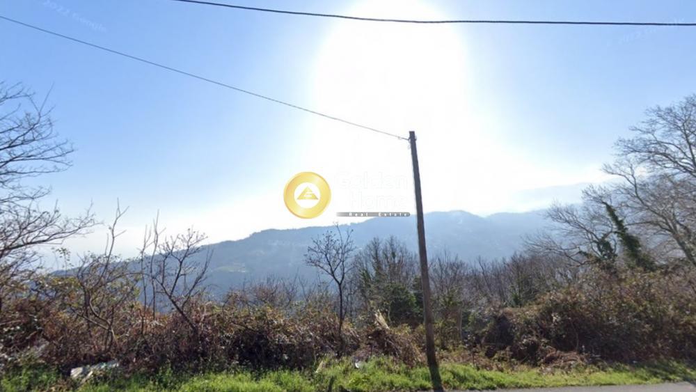 Οικόπεδο 4.000 τ.μ. πρός πώληση, Μαγνησία, Ζαγορά