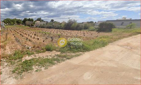Land plot 3.000sqm for sale-Artemida (Loutsa) » Ypapanti