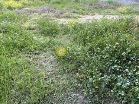Land plot 450sqm for sale-Kifisia » Adames Oikismos Grammos - Foinikas