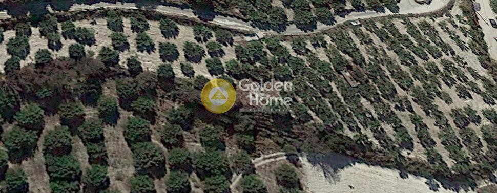 Αγροτεμάχια 4.687 τ.μ. προς πώληση, Άγιος Βλάσιος Ηρακλείου