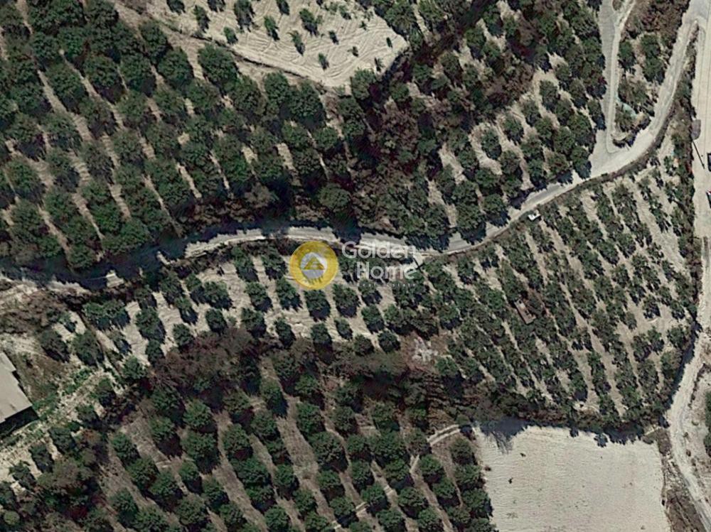 Αγροτεμάχια 4.687 τ.μ. προς πώληση, Άγιος Βλάσιος Ηρακλείου