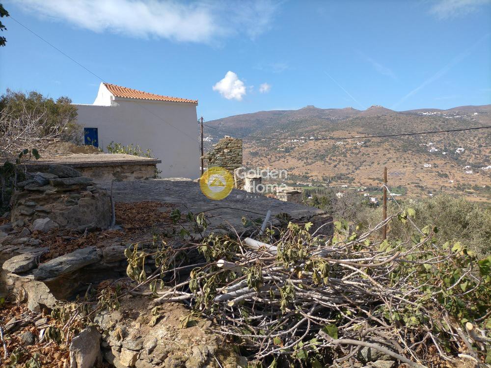 Μονοκατοικία 292 τ.μ. προς πώληση, Κόρθιο