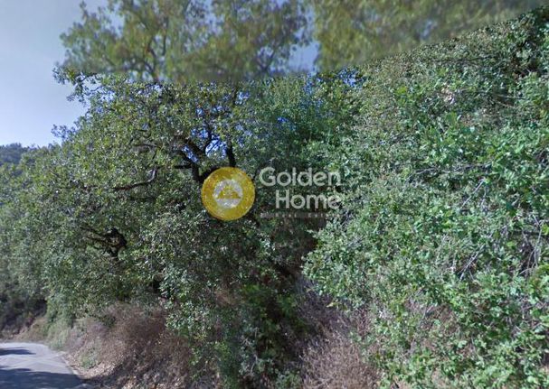 Parcel 35.000 sqm for sale, Aetolia & Acarnania, Stratos