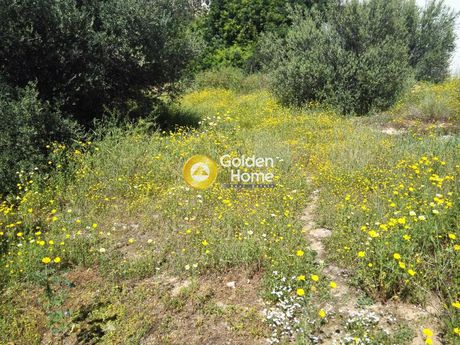 Οικόπεδο 783τ.μ. για πώληση-Βούλα » Δικηγορικά