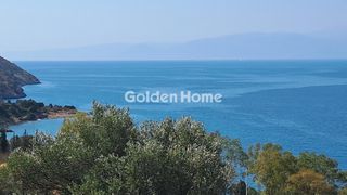Αγροτεμάχια 8.672 τ.μ. για πώληση