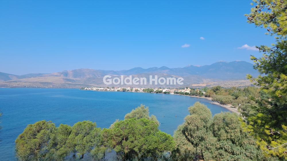 Αγροτεμάχια 8.672 τ.μ. πρός πώληση, Φωκίδα, Ιτέα