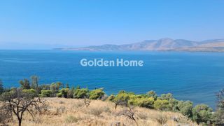 Αγροτεμάχια 8.672 τ.μ. πρός πώληση, Φωκίδα, Ιτέα-thumb-14