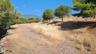 Αγροτεμάχια 8.672 τ.μ. πρός πώληση, Φωκίδα, Ιτέα-thumb-15
