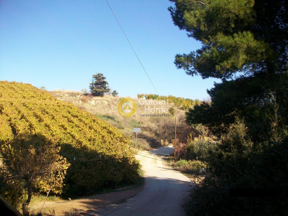Οικόπεδο 7.297 τ.μ. προς πώληση, Σούλι Σικυώνας