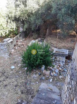 Οικόπεδο 459τ.μ. για πώληση-Οίτυλος » Βάμβακα