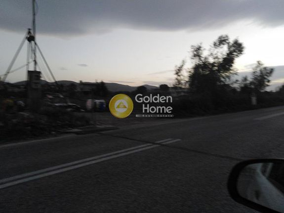 Land plot 10.000 sqm for sale, Rest Of Attica, Com. Nea Palatia
