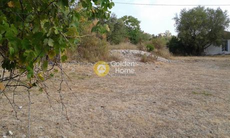 Οικόπεδο 2.230τ.μ. για πώληση-Ιθάκη » Μεσόβουνο