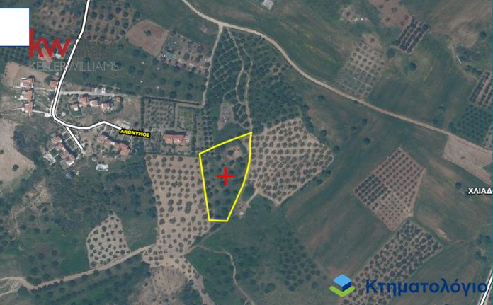 Αγροτεμάχια 4.142 τ.μ. για πώληση, Χαλκιδική, Σιθωνία