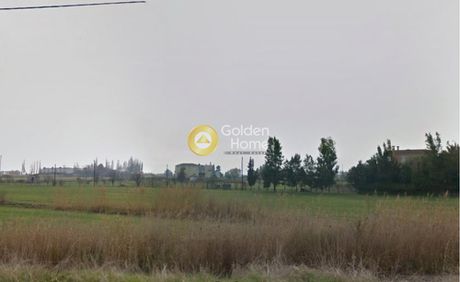 Οικόπεδο 6.000τ.μ. για πώληση-Λέσβος - πλωμάρι » Πλατανέλι