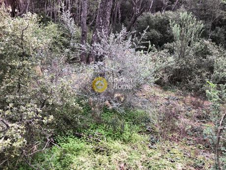 Οικόπεδο 1.049τ.μ. για πώληση-Αχαρνές » Θρακομακεδόνες