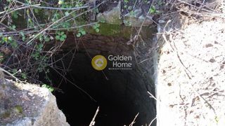 Αγροτεμάχια 4.370 τ.μ. προς πώληση, Καραθώνα-thumb-8