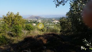 Αγροτεμάχια 4.370 τ.μ. προς πώληση, Καραθώνα-thumb-3