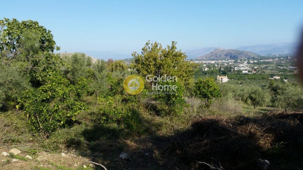 Αγροτεμάχια 4.370 τ.μ. προς πώληση, Καραθώνα