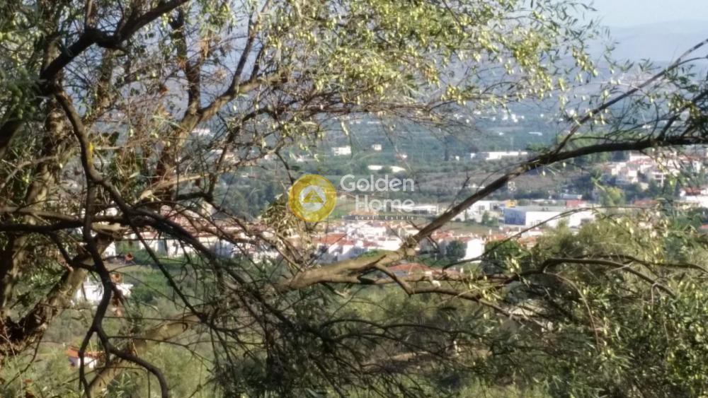 Αγροτεμάχια 4.370 τ.μ. προς πώληση, Καραθώνα