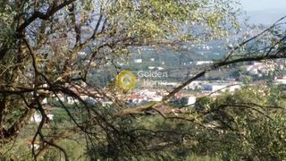 Αγροτεμάχια 4.370 τ.μ. για πώληση