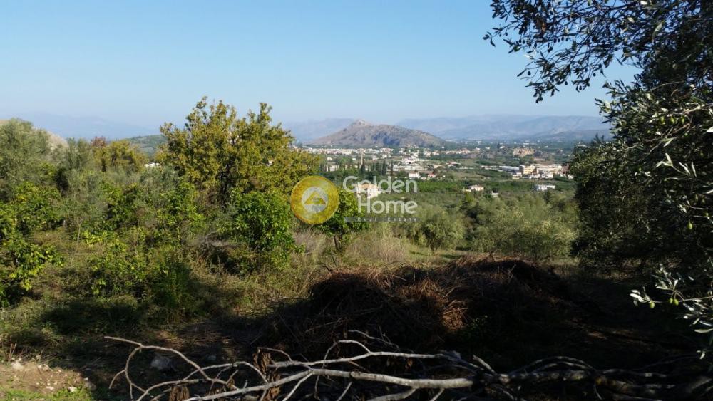 Αγροτεμάχια 4.370 τ.μ. προς πώληση, Καραθώνα